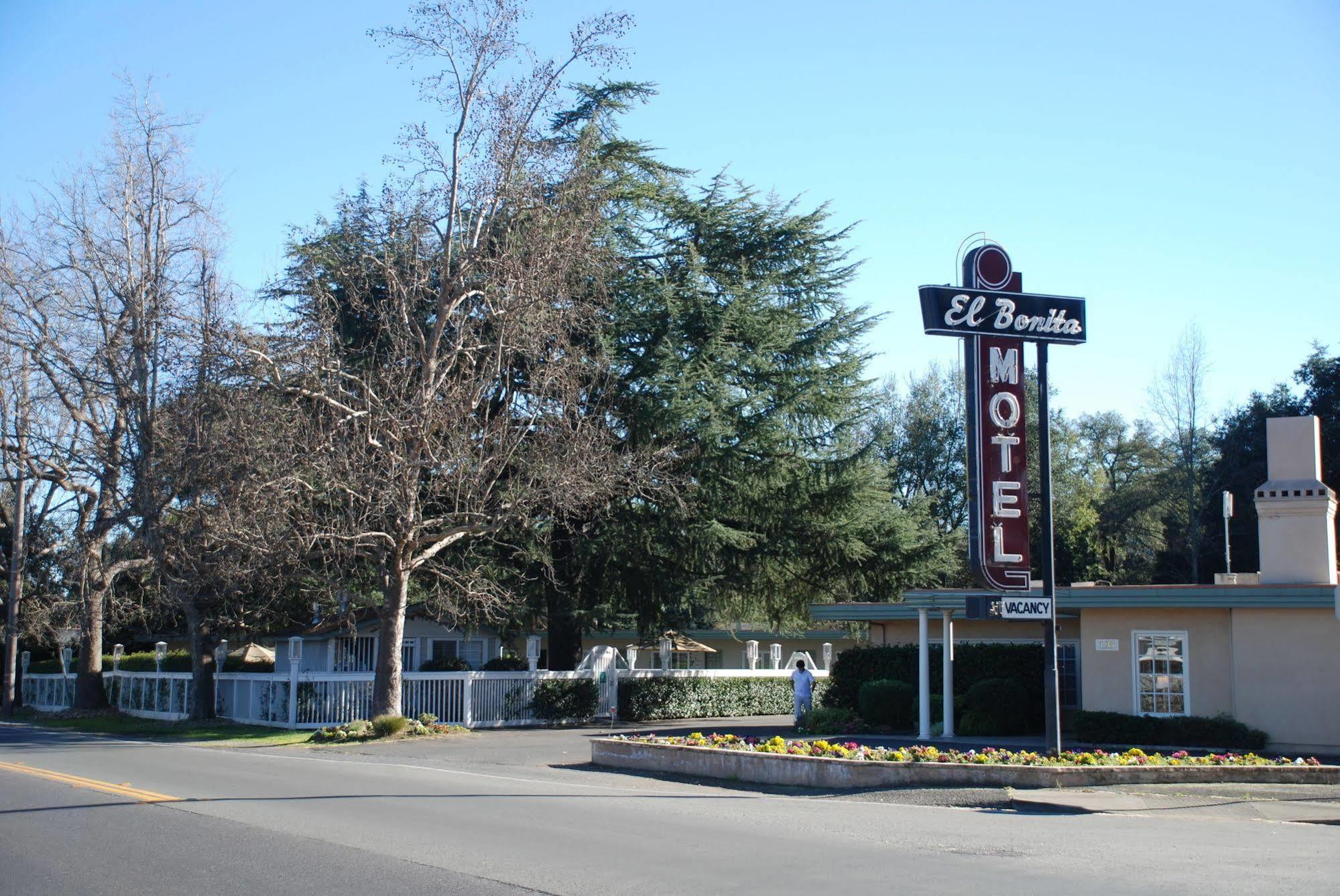 El Bonita Motel St. Helena Bagian luar foto