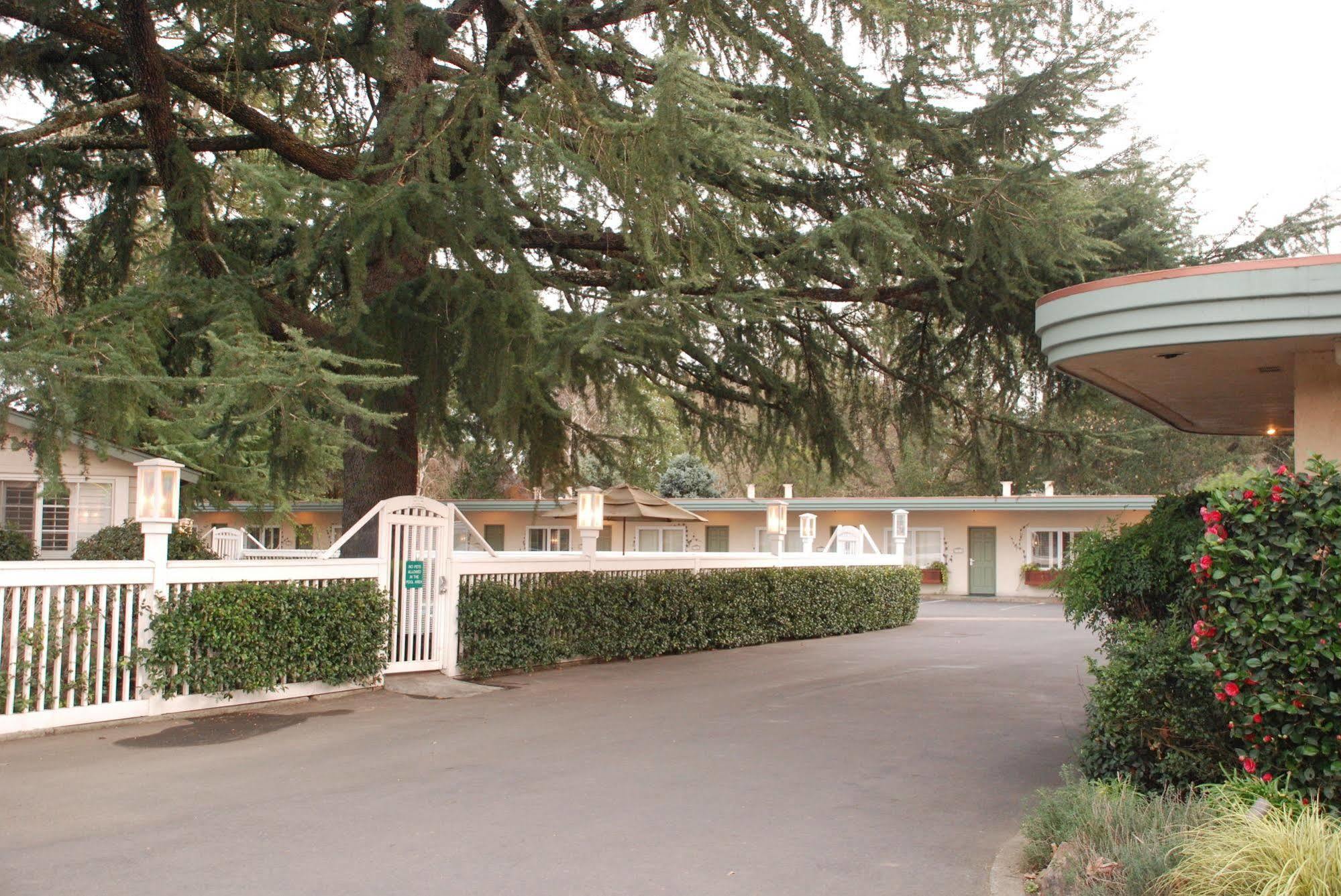 El Bonita Motel St. Helena Bagian luar foto